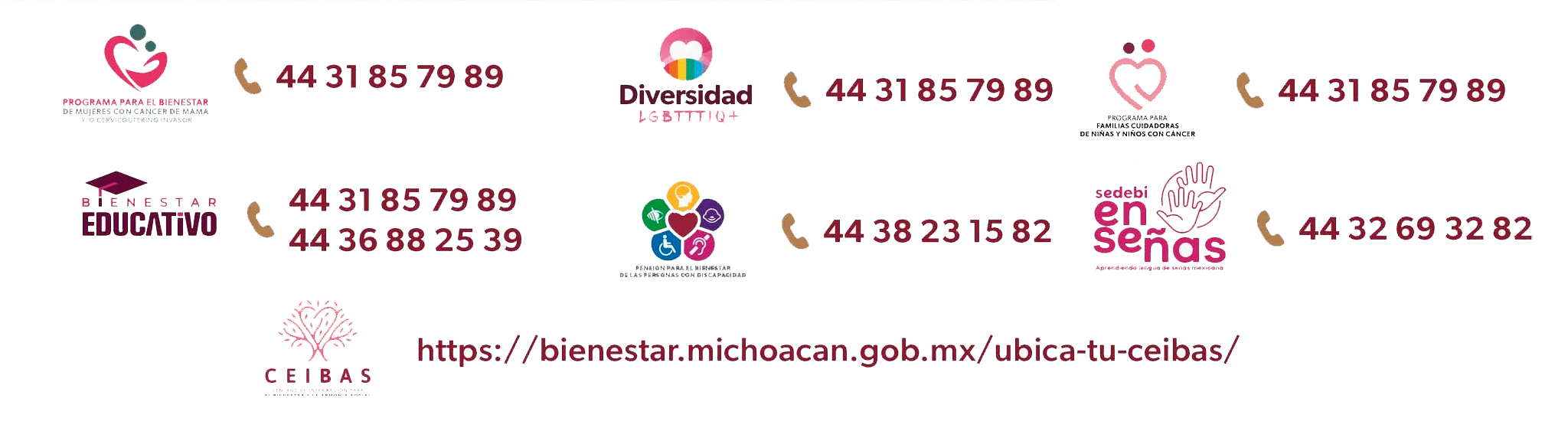 programas del bienestar